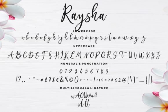 Raysha Font PNG with transparent background - Preview 6