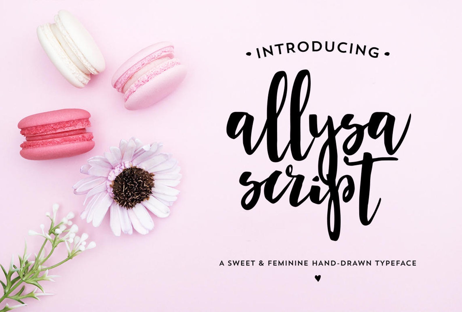 Placeholder image for Allysa Script, preview not available