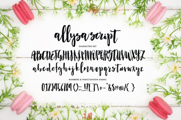 Allysa Script Font - Preview 3