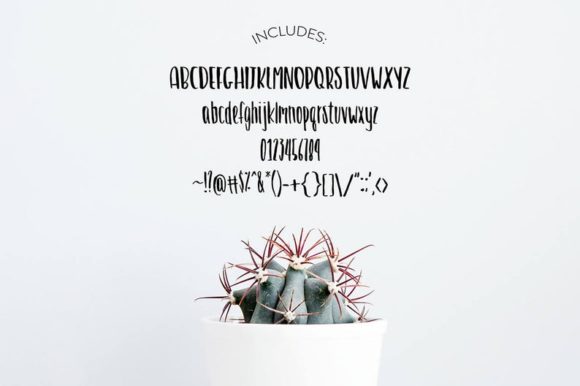 Blossom Brush Font - Preview 2