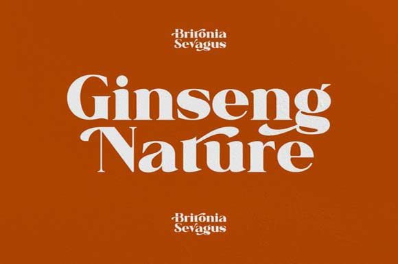 Britonia Sevagus Font - Preview 1