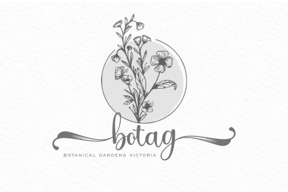 Clarities Font PNG with transparent background - Preview 5
