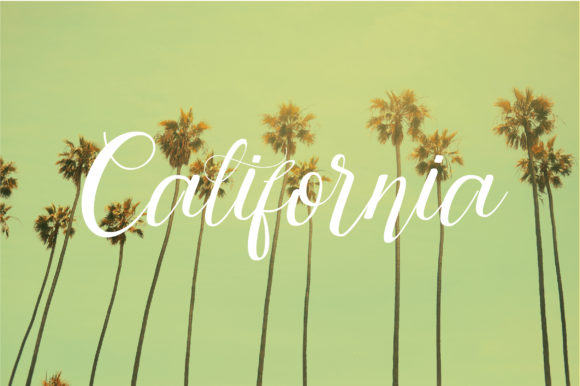 Contento Font - Preview 2