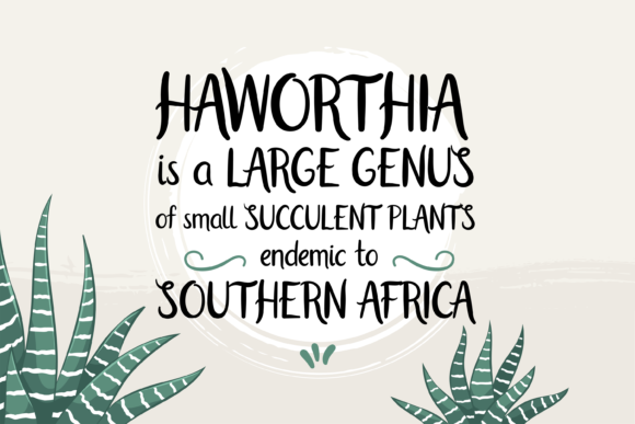 Haworthia Font - Preview 1