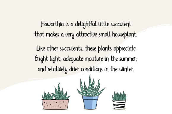 Haworthia Font - Preview 2