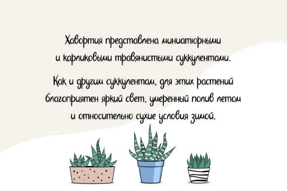 Haworthia Font - Preview 3