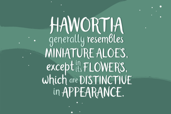 Haworthia Font - Preview 4