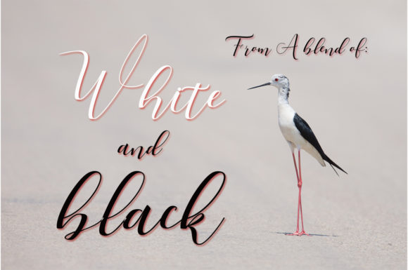Marhamah Font PNG with transparent background - Preview 3