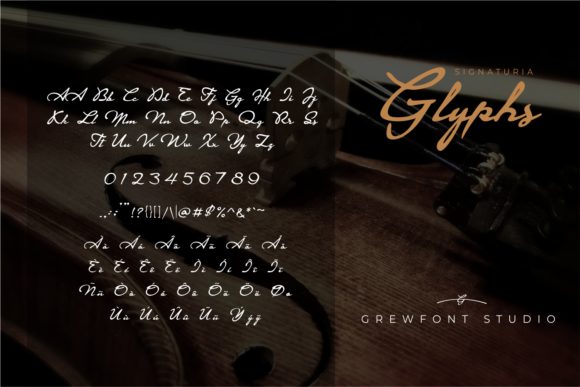 Signaturia Font PNG with transparent background - Preview 2