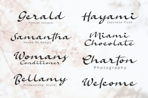 Amelina Font - Preview 2
