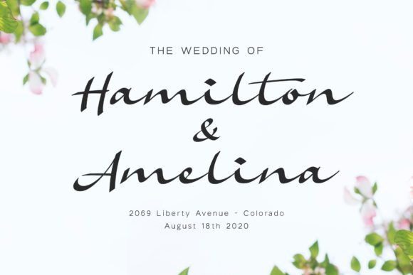 Amelina Font - Preview 6