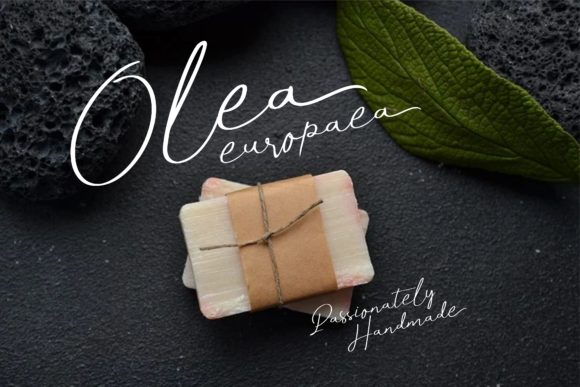 Bassetta Pollina Font - Preview 3