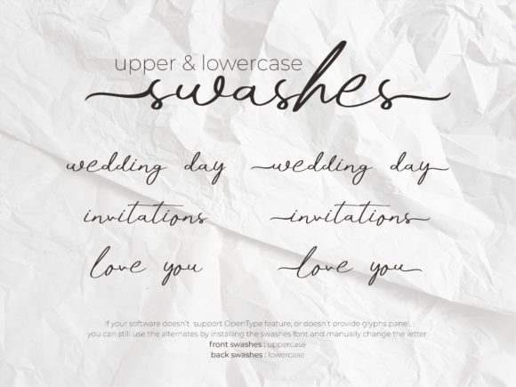 Bassetta Pollina Font - Preview 4