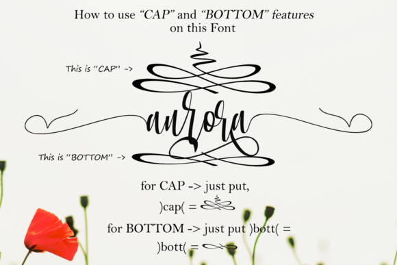 Allacarte Font - Preview 2