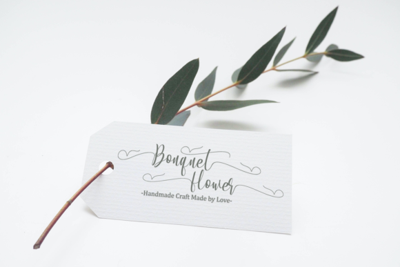 Allacarte Font - Preview 4