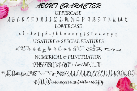 Allacarte Font - Preview 6