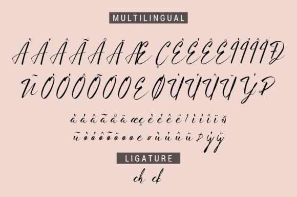 Batista Font - Preview 5
