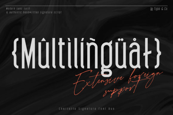 Charlotte Signature Font - Preview 2