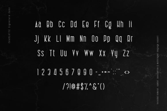 Charlotte Signature Font - Preview 6