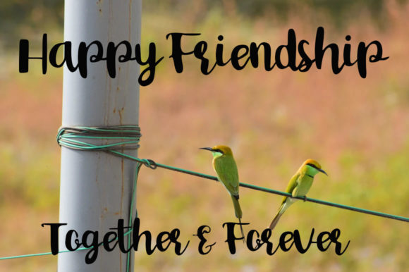 Bird Day Font - Preview 1