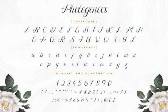 Photogenics Font PNG with transparent background - Preview 4