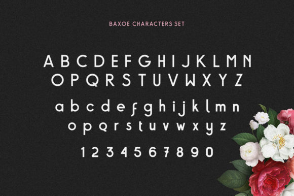 Baxoe Font - Preview 3