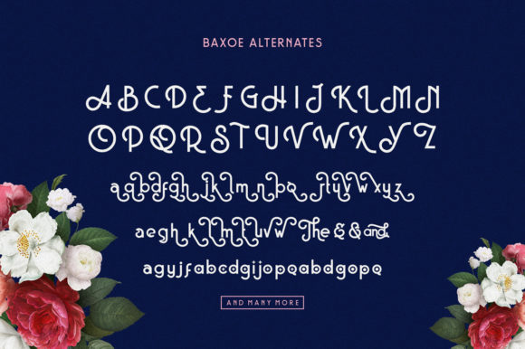 Baxoe Font - Preview 5