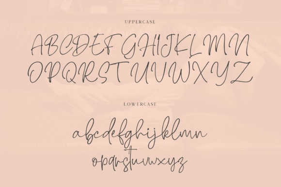 Brendria Font - Preview 4
