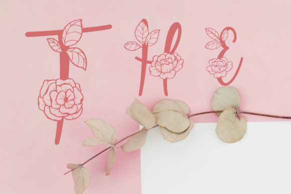 Clarissa Monogram Font - Preview 1