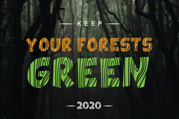 Forest Wood Font - Preview 4