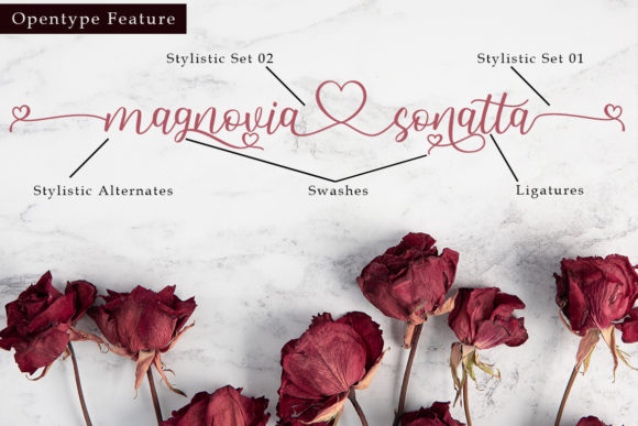 Hallo Carthy Font PNG with transparent background - Preview 6