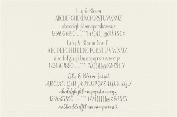 Lily & Bloom Font PNG with transparent background - Preview 1