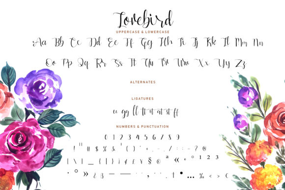 Lovebird Font PNG with transparent background - Preview 4