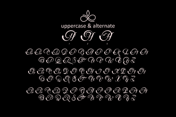 Beautifuly Font - Preview 5