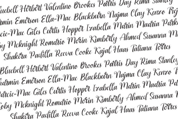 Brigitta Font - Preview 4