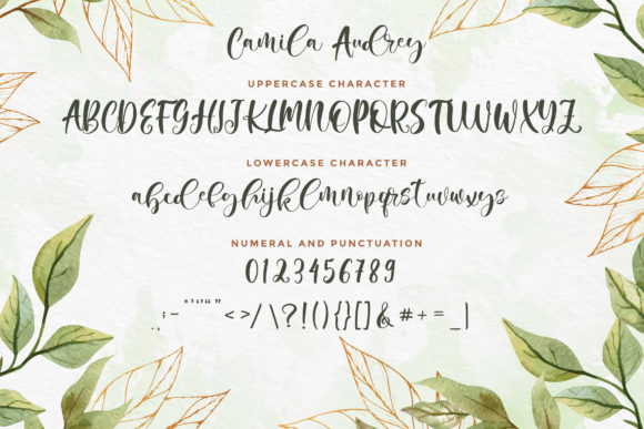 Camila Audrey Font - Preview 4
