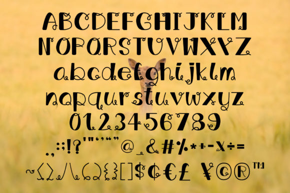 Curling Tail Font - Preview 1