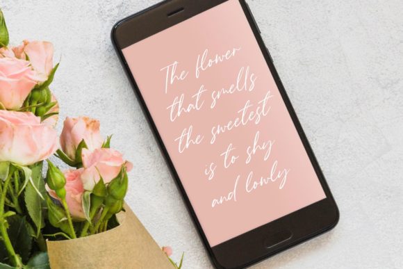 Gardenisa Font - Preview 2