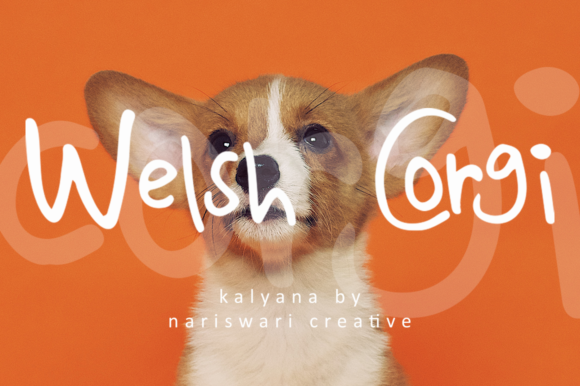 Kalyana Font - Preview 3
