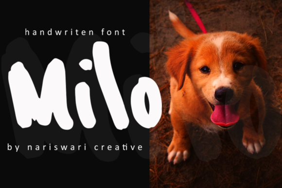 Nicho Font PNG with transparent background - Preview 2