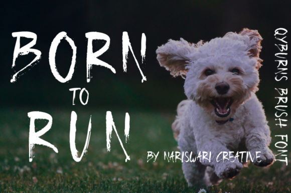 Qyburns Font PNG with transparent background - Preview 1
