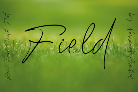 Ranu Pane Font PNG with transparent background - Preview 2