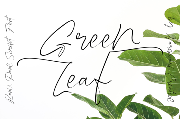 Ranu Pane Font PNG with transparent background - Preview 3