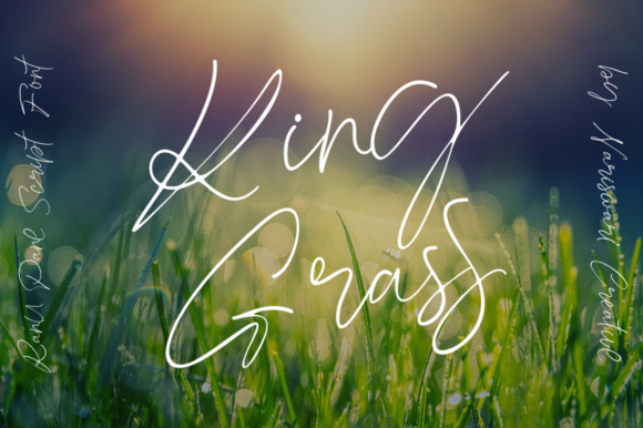 Ranu Pane Font PNG with transparent background - Preview 4