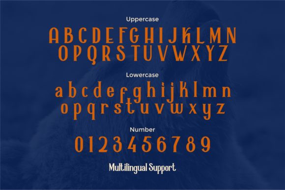 Alaska Font - Preview 6