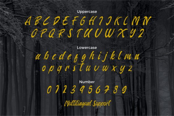 Arthas Font - Preview 6