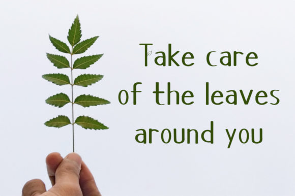 Magic Leaf Font PNG with transparent background - Preview 3