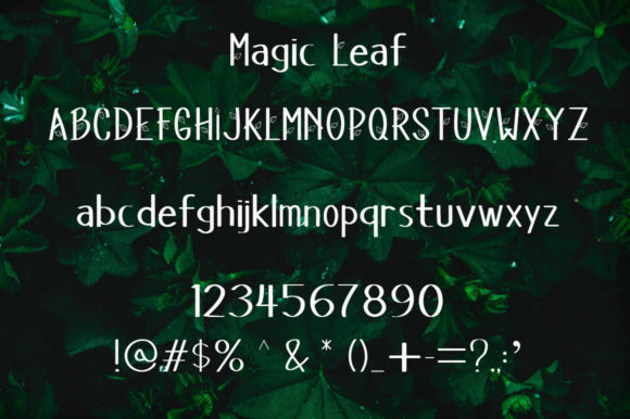 Magic Leaf Font PNG with transparent background - Preview 4