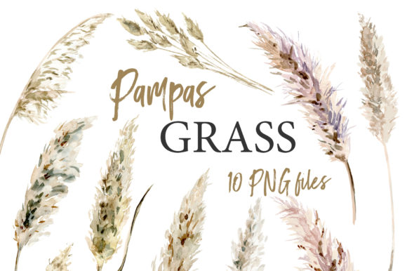 Pampas Grass Watercolor Boho Clipart Gráfico Ilustraciones Imprimibles Por Elena Dorosh Art
