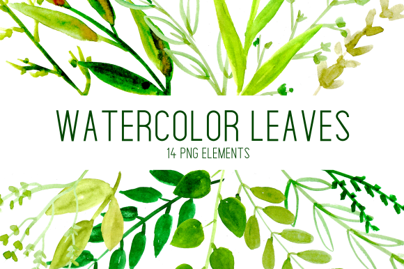 Simple Watercolor Leaves Clipart Set Graphic Illustrations By roselocket